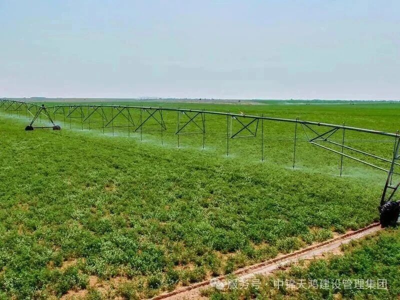 天鸿动态 | 喜报！集团成功中标内蒙古三北工程重大生态修复项目